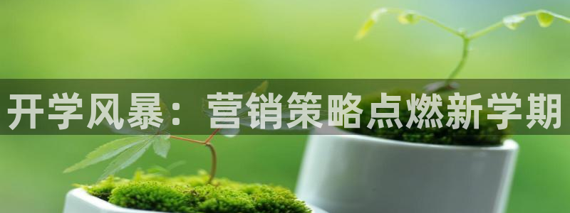 必赢qp