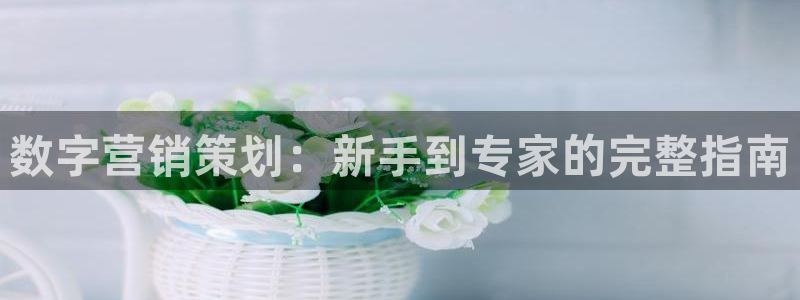 必赢.apk