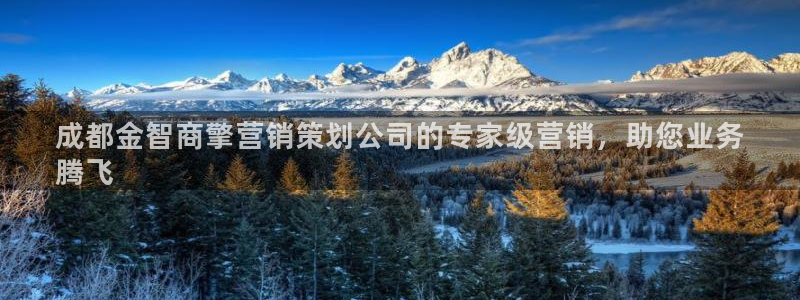 必赢官网app下载安装苹果版