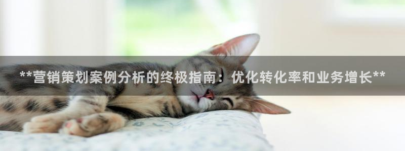 必赢集团怎么样