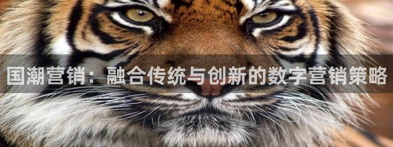 必赢8833扑鱼