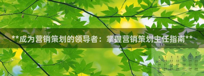 必赢亚赢网站官网下载手机版安装