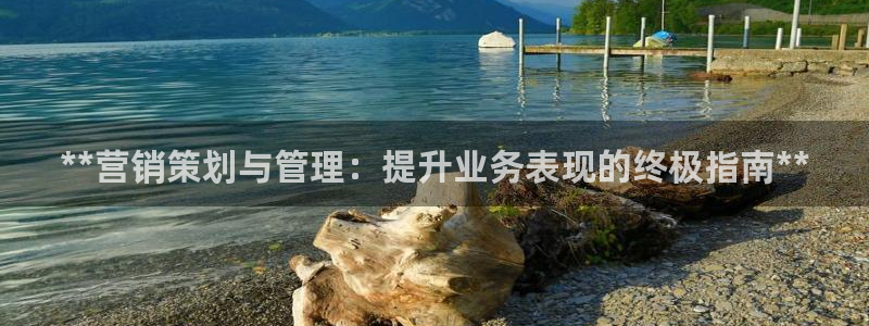 必赢766