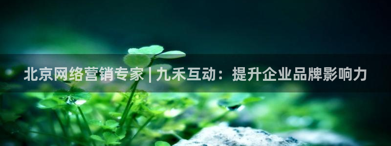 必赢国际437
