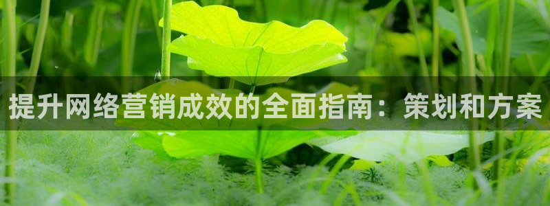 必赢平台怎么样可靠吗