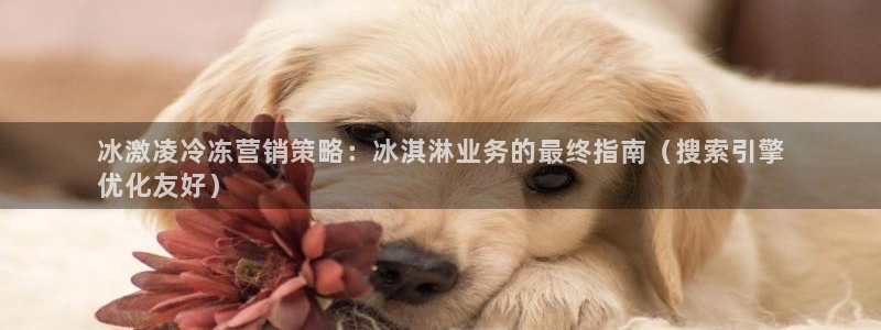 必赢国际怎么样