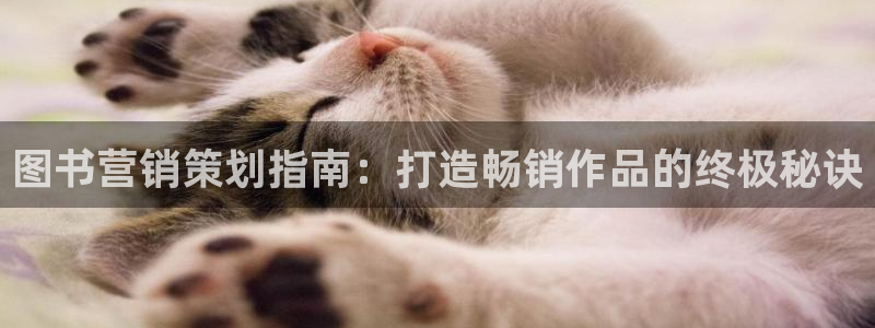 必赢下载安卓版最新版