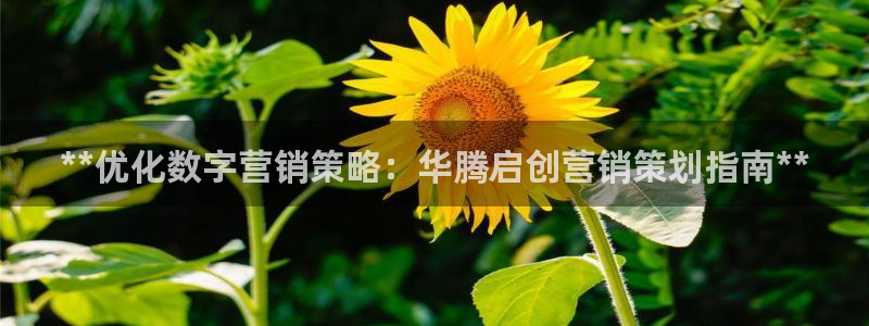 必赢7321取不出钱