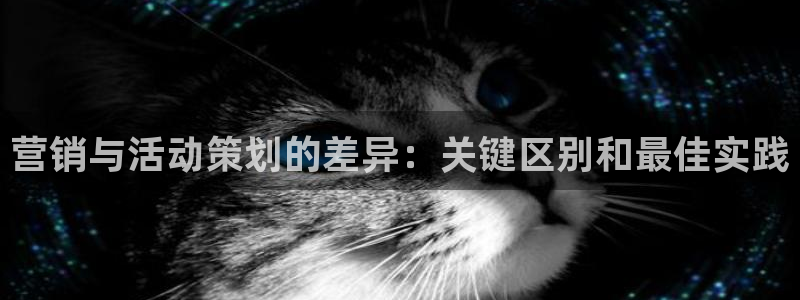 必赢国际技巧