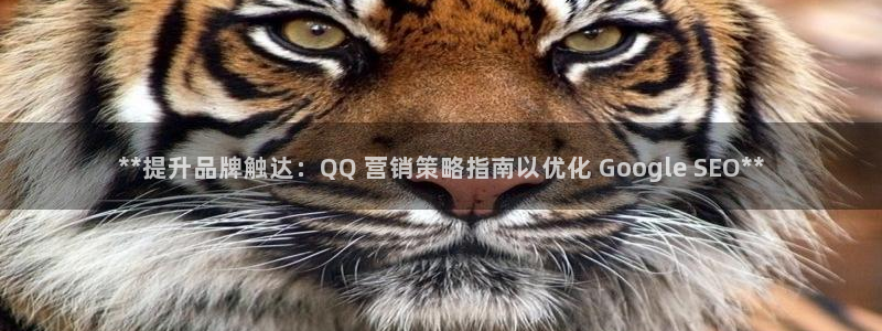 必赢手机版网站多少