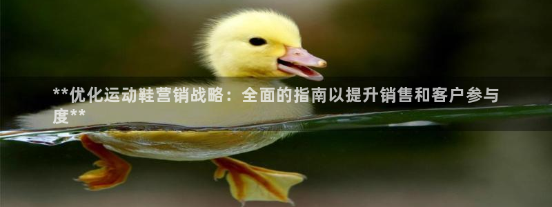 必赢活动iosapp下载