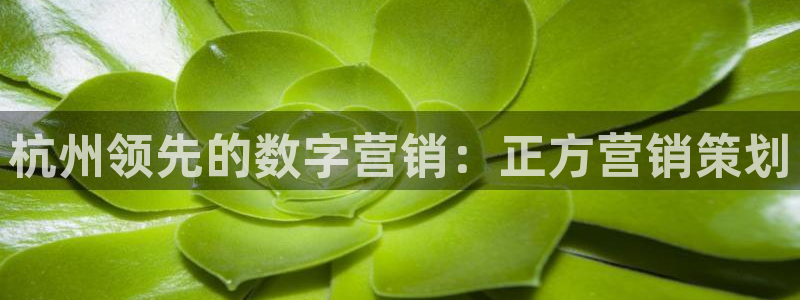 必赢官网app下载苹果手机