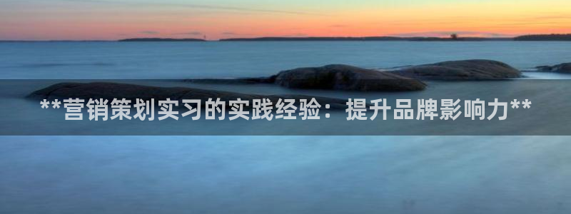 必赢网站进去