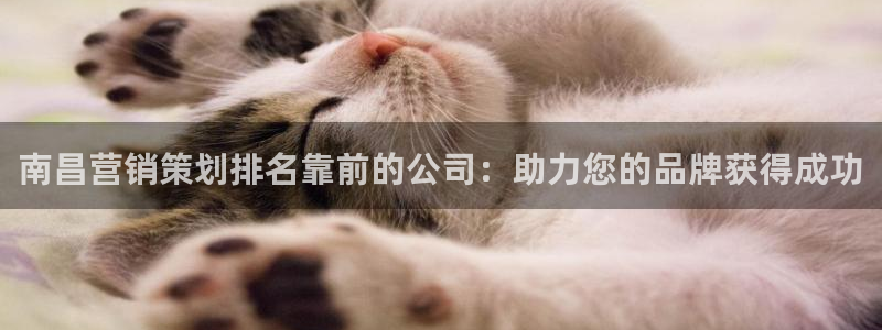 必赢国际app最新官网