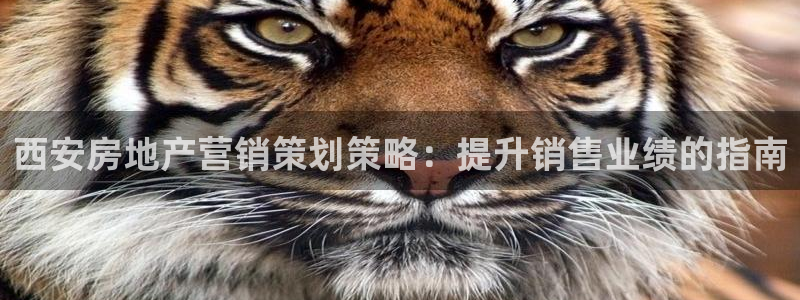 下载s7321必赢