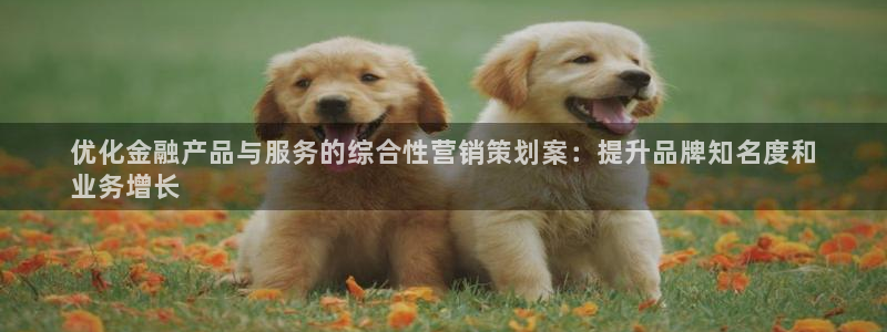 必赢的意思是什么