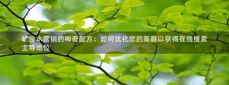 必赢516net怎么进