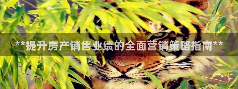 必赢平台官方网站