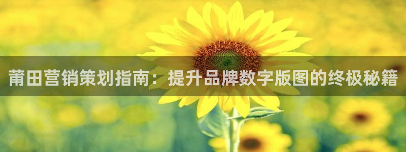 必赢网址官网