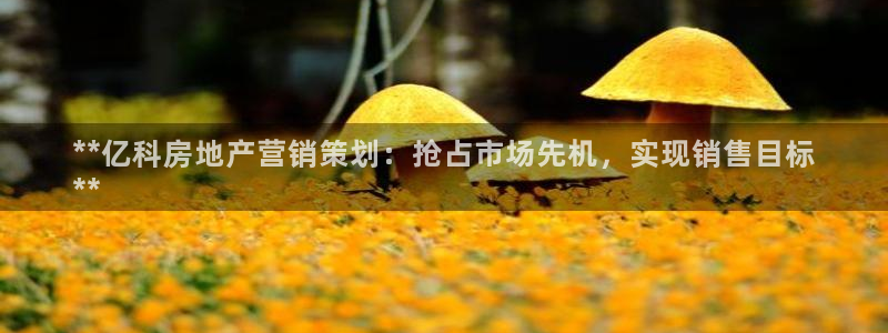 必赢平台怎么样