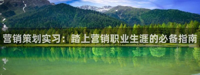 必赢线上网址查询