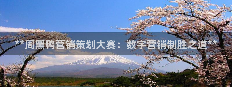 必赢这个软件怎么样啊