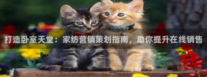 必赢客安卓版