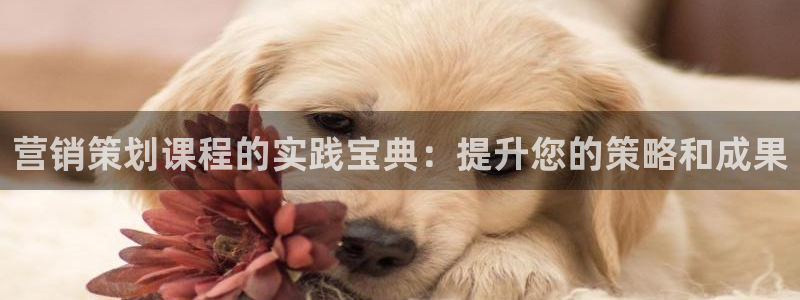必赢网址谁知道
