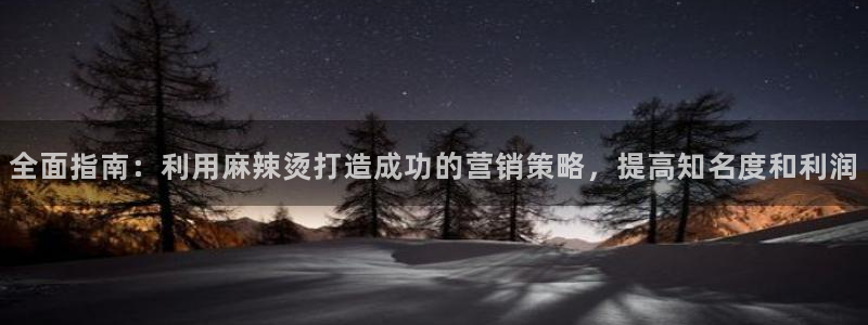 必赢565net官网