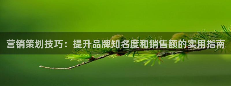 必赢抢红包网址