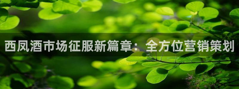 必赢官网app下载安装手机版最新版