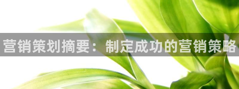 必赢的意思是什么