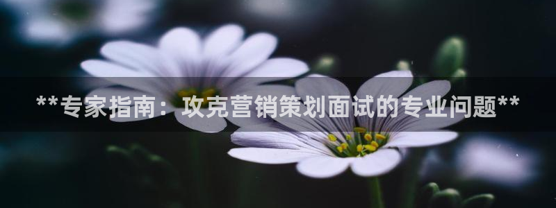 必赢官网下载安装
