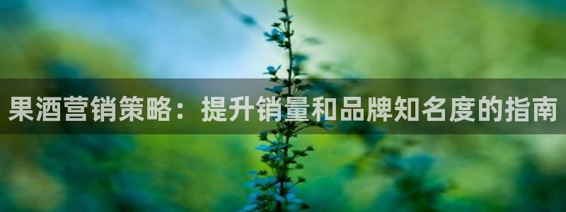 必赢下载安卓版官网