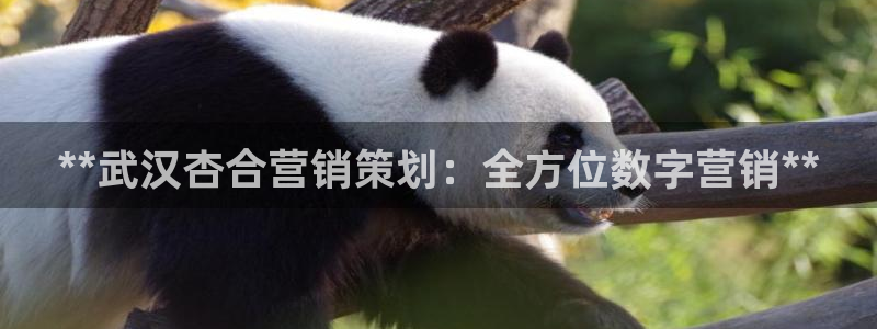 9965必赢棋官方网站怎么样