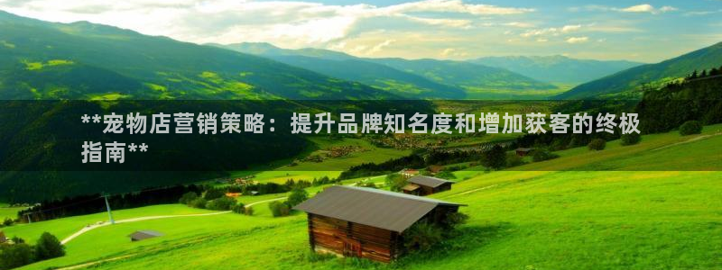 必赢亚赢网站官网下载安装手机版