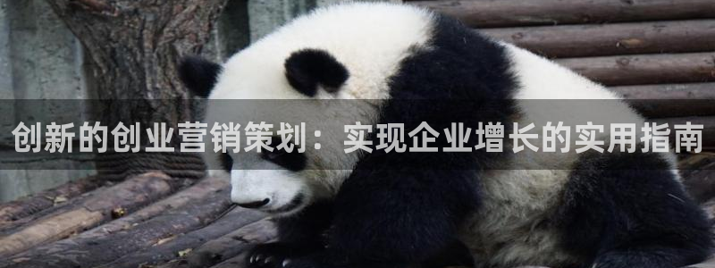 必赢网址手机主页怎么设置