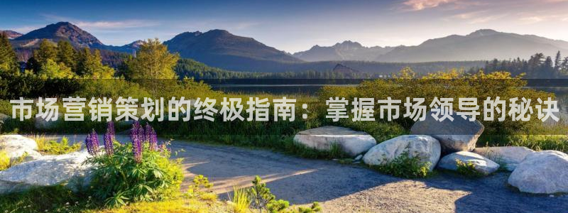 9965必赢苹果下载