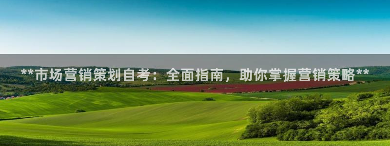 必赢棋盘官网版