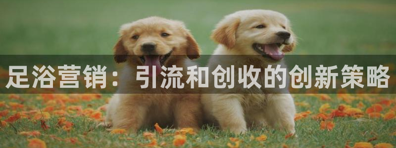 必赢网站打不开