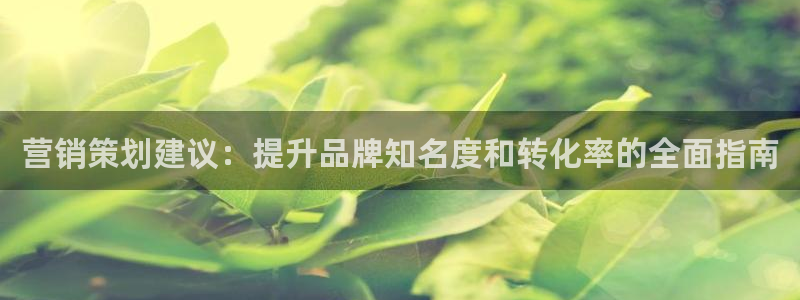 必赢国际437官网版