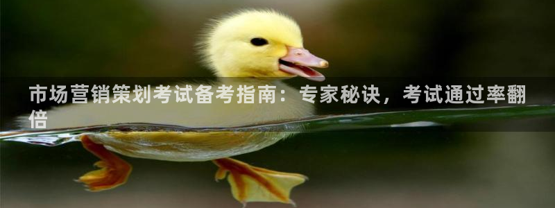 必赢官网app下载安装最新版