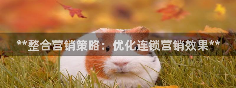 必赢网址手机主页怎么设置