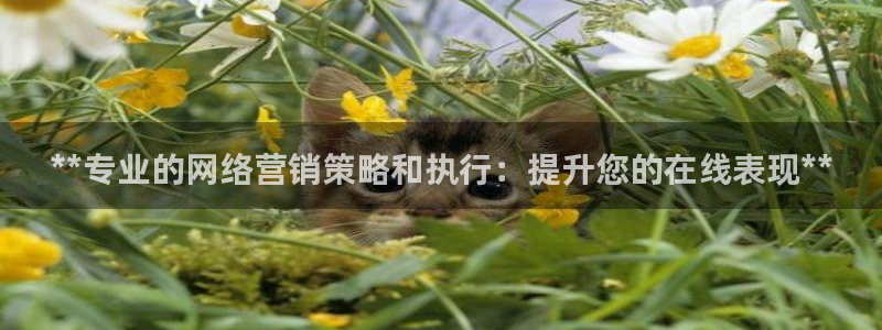必赢亚赢网站官网下载安装