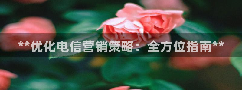 必赢国际437pay,comapp