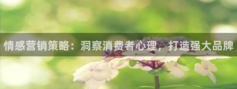 必赢官网8873欢迎您