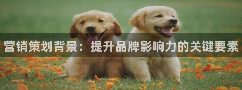 必赢官网app下载