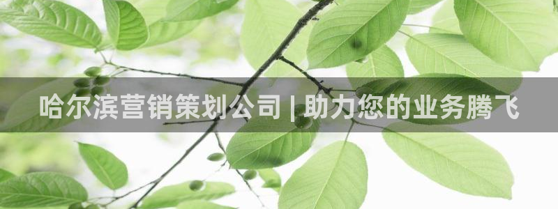 必赢下载苹果手机app