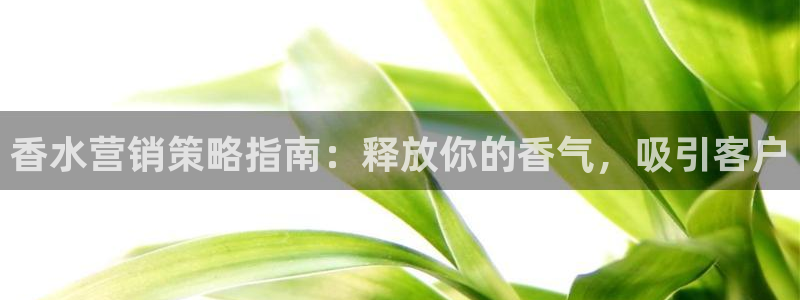 必赢手机app下载官网