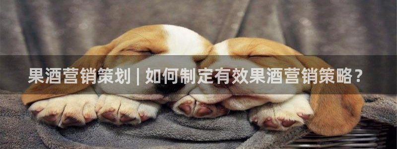 必赢手机app下载官网